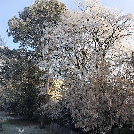 Le Jardin De Fresnes Bed & Breakfast Bagian luar foto